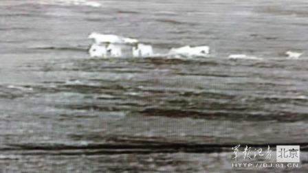邊防軍出奇事：白天見珍稀動物晚上拍狼馬大戰